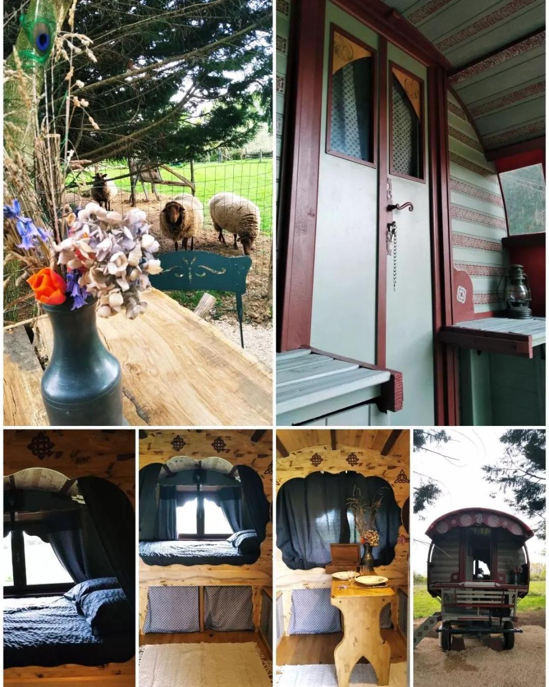 Roulotte Irlandaise Polly Hotel Saint-Vincent-en-Bresse ภายนอก รูปภาพ