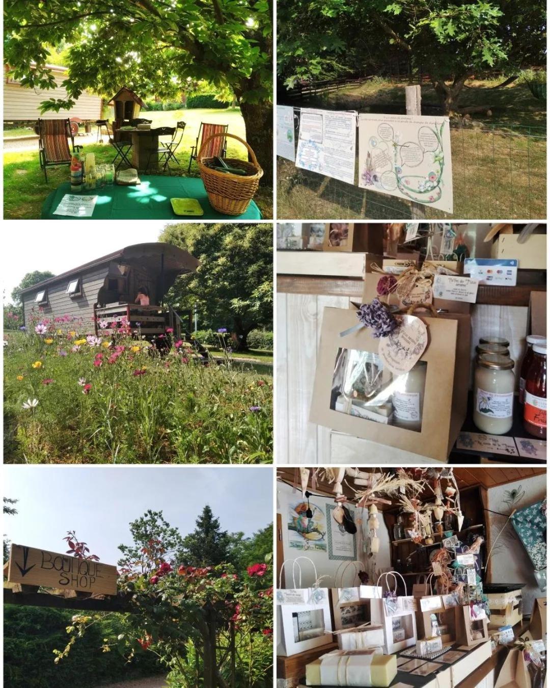 Roulotte Irlandaise Polly Hotel Saint-Vincent-en-Bresse ภายนอก รูปภาพ