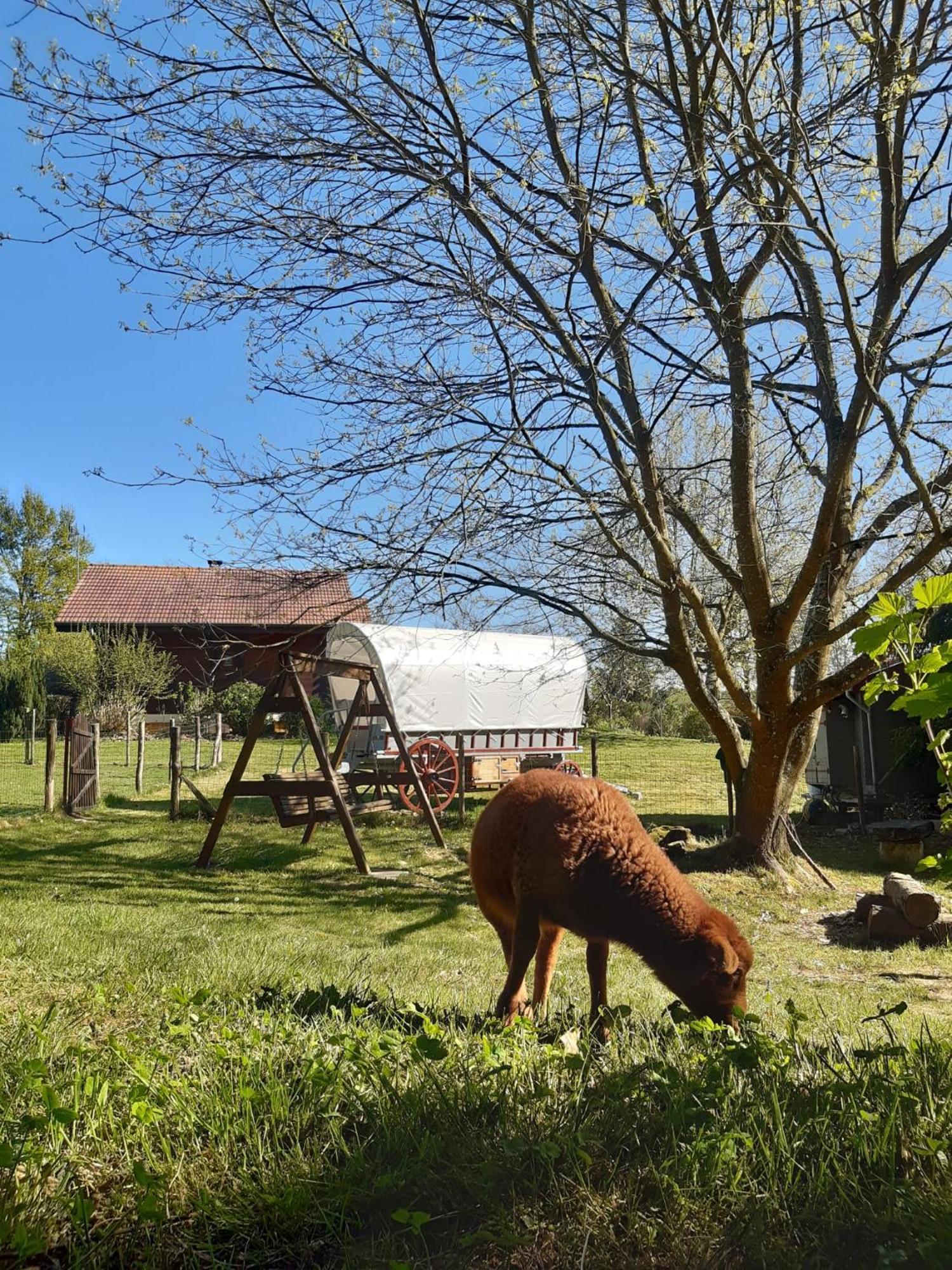 Roulotte Irlandaise Polly Hotel Saint-Vincent-en-Bresse ภายนอก รูปภาพ